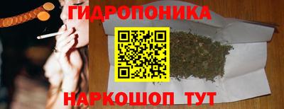 прущие крисы Краснознаменск